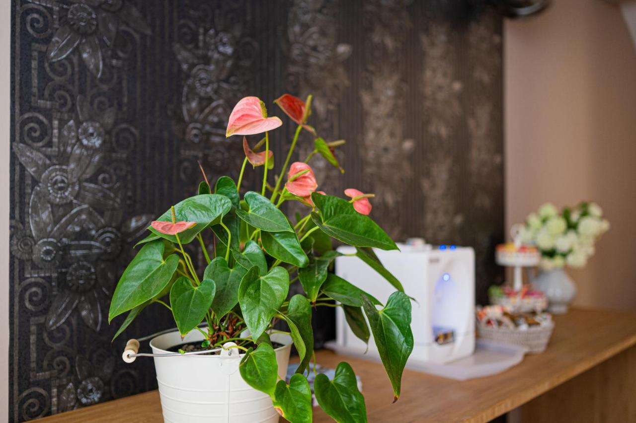 Paon Boutique Apartments 萨格勒布 外观 照片